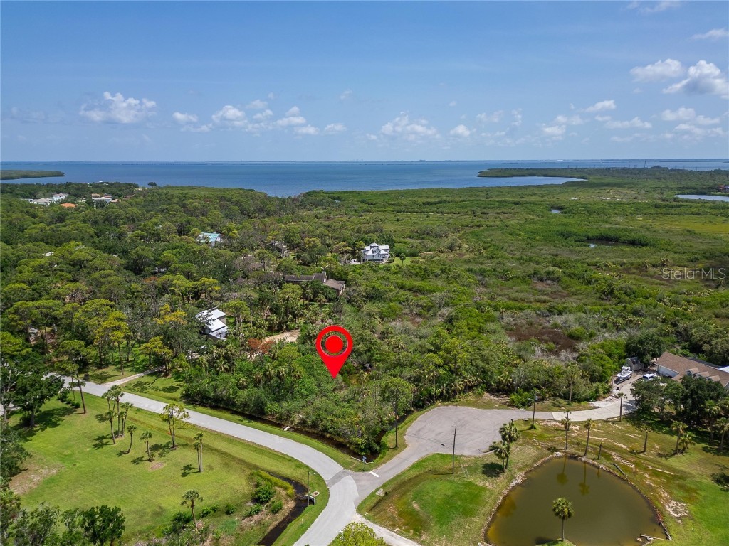 Strathmore Avenue Oldsmar FL 34677 TB8396827 image2