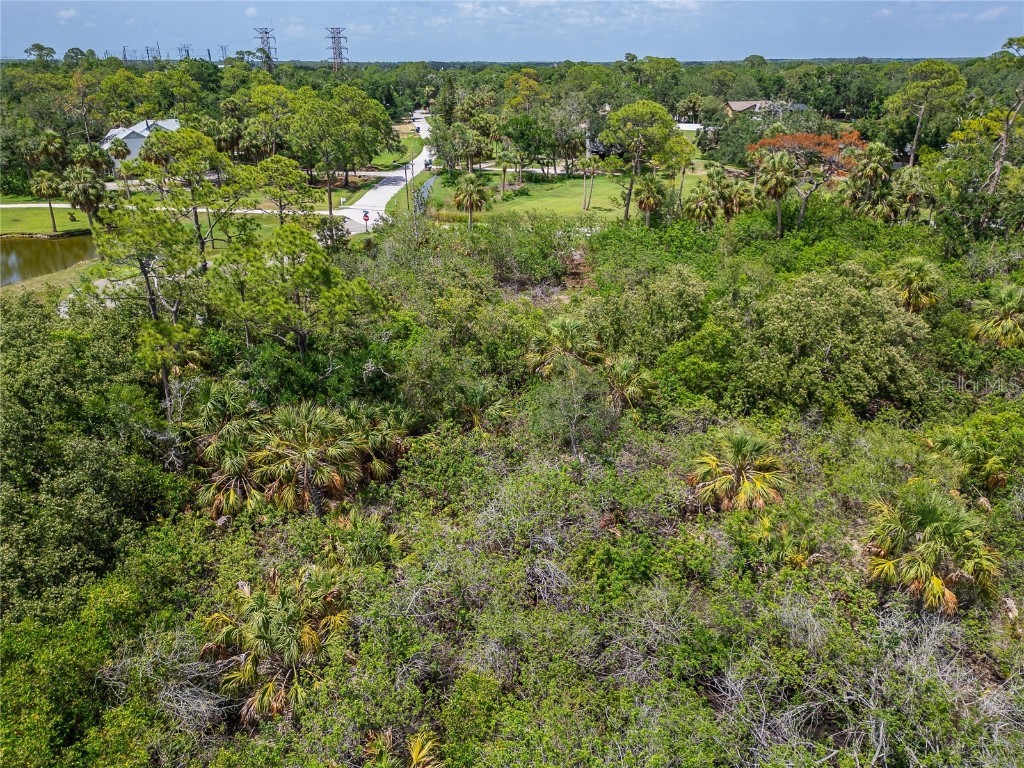 Strathmore Avenue Oldsmar FL 34677 TB8396827 image20