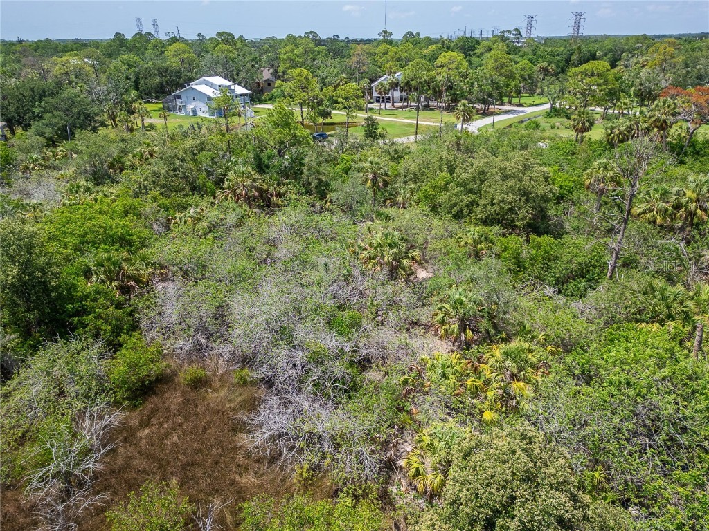 Strathmore Avenue Oldsmar FL 34677 TB8396827 image21