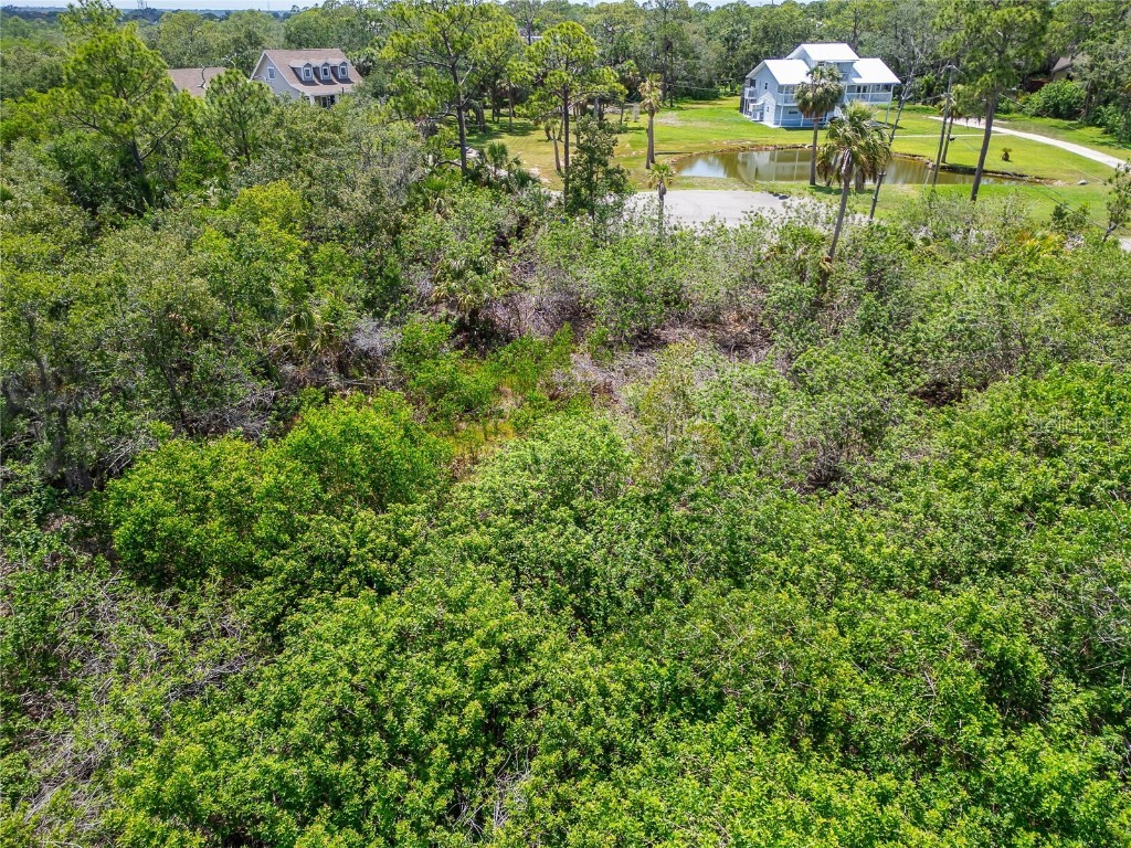 Strathmore Avenue Oldsmar FL 34677 TB8396827 image23