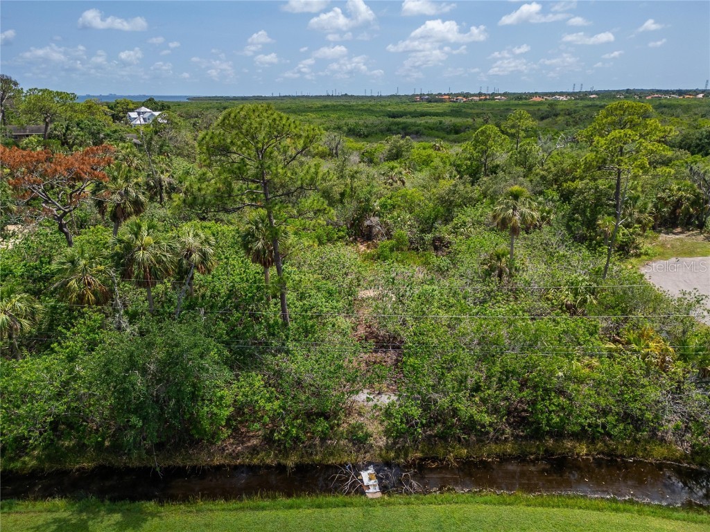 Strathmore Avenue Oldsmar FL 34677 TB8396827 image24