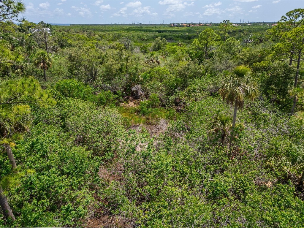 Strathmore Avenue Oldsmar FL 34677 TB8396827 image25