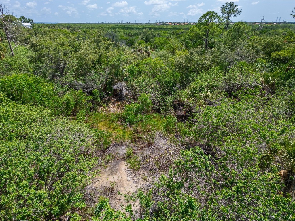 Strathmore Avenue Oldsmar FL 34677 TB8396827 image26