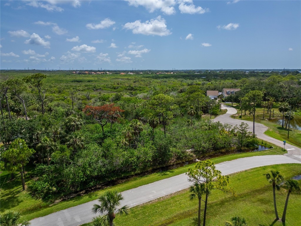 Strathmore Avenue Oldsmar FL 34677 TB8396827 image4