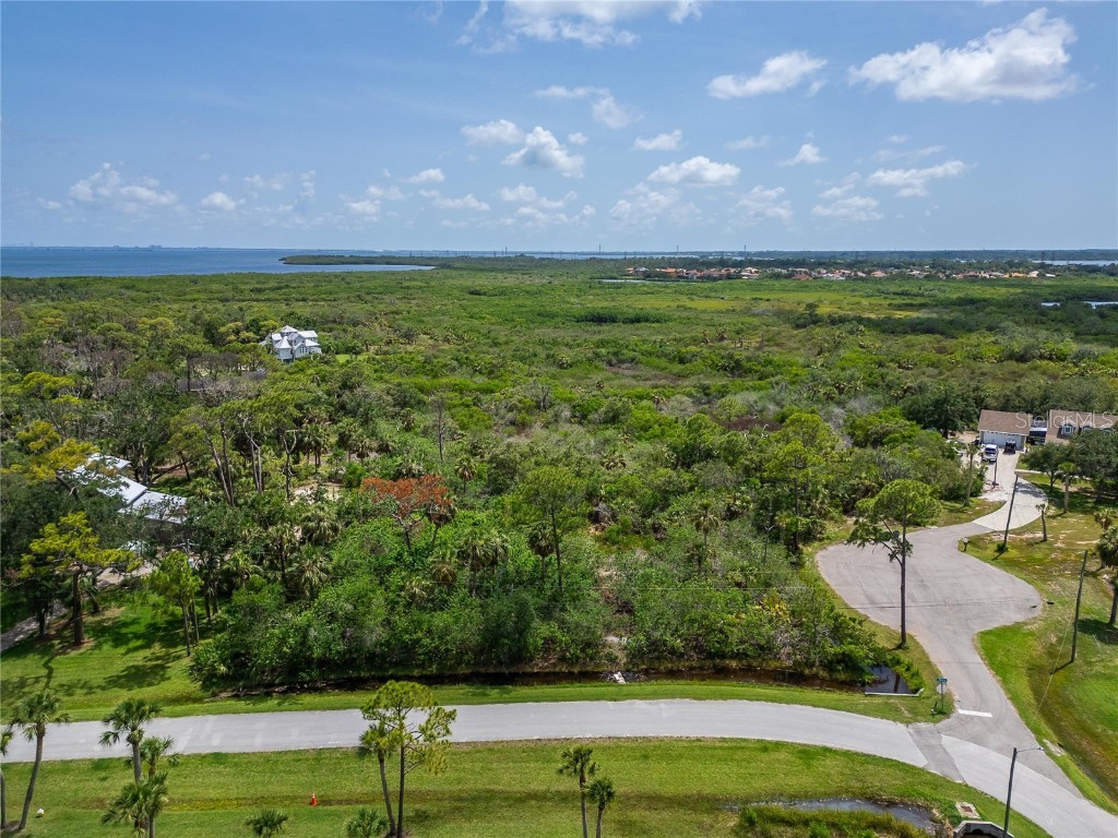 Strathmore Avenue Oldsmar FL 34677 TB8396827 image6