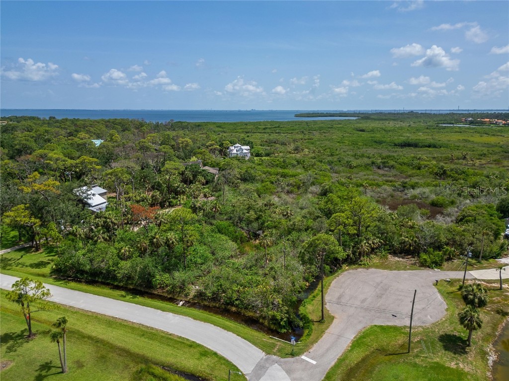 Strathmore Avenue Oldsmar FL 34677 TB8396827 image7