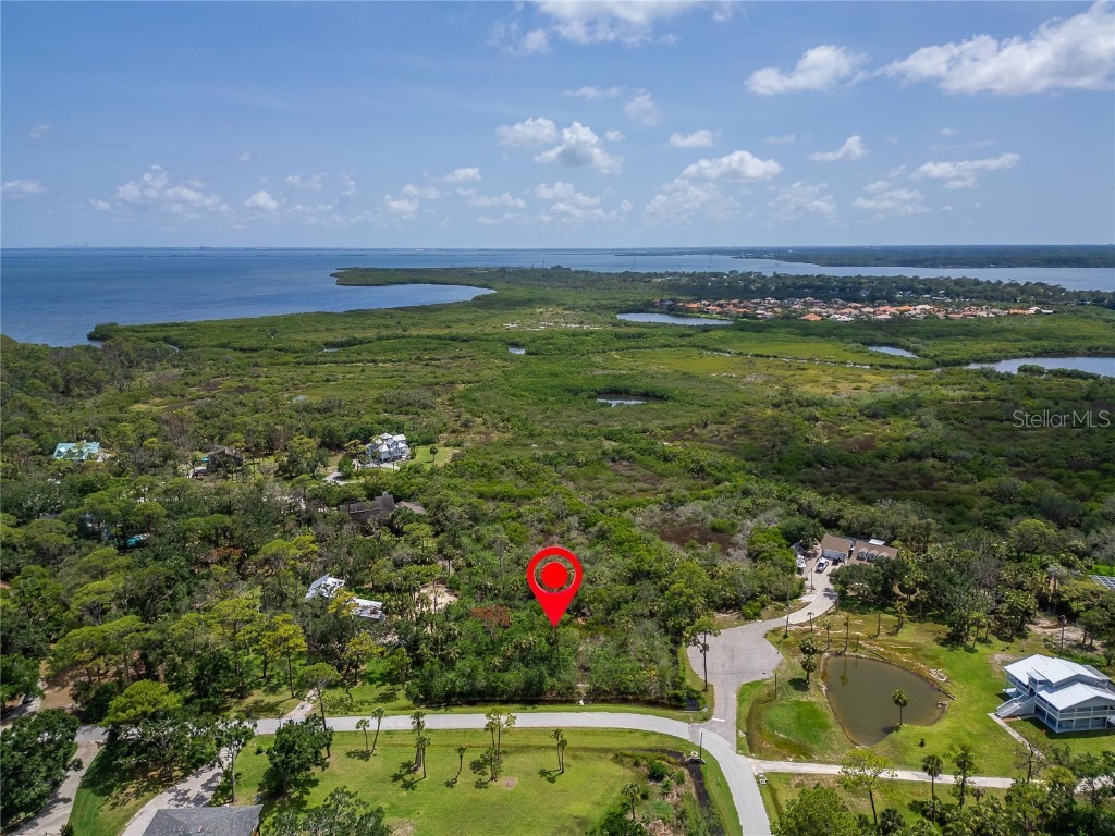 Strathmore Avenue Oldsmar FL 34677 TB8396827 image8