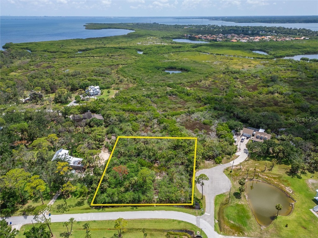 Strathmore Avenue Oldsmar FL 34677 TB8396827 image9