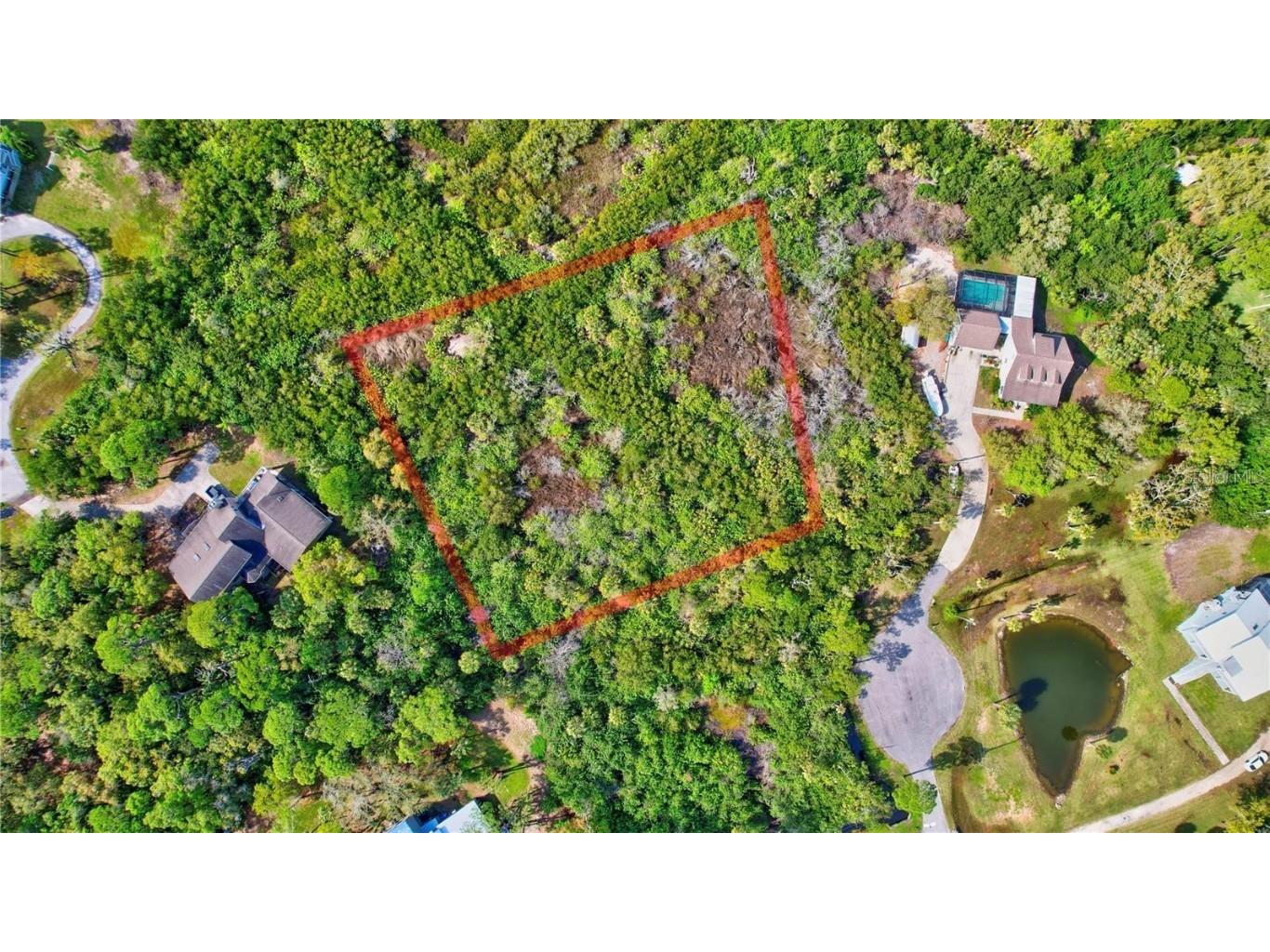 Strathmore Avenue Oldsmar FL 34677 TB8404464 image12