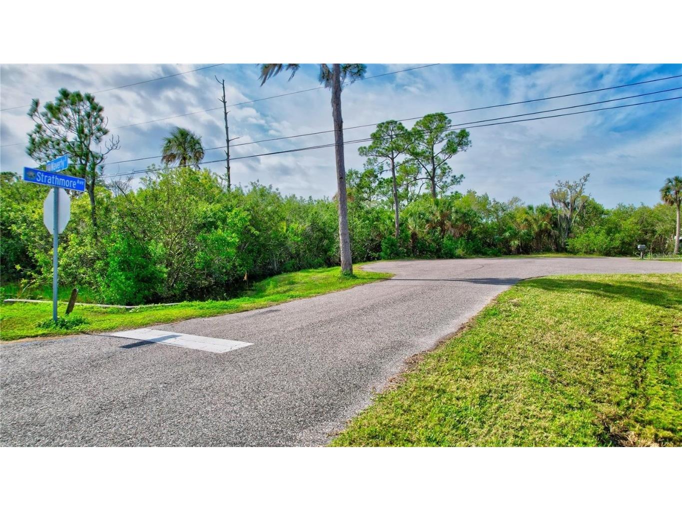 Strathmore Avenue Oldsmar FL 34677 TB8404464 image14