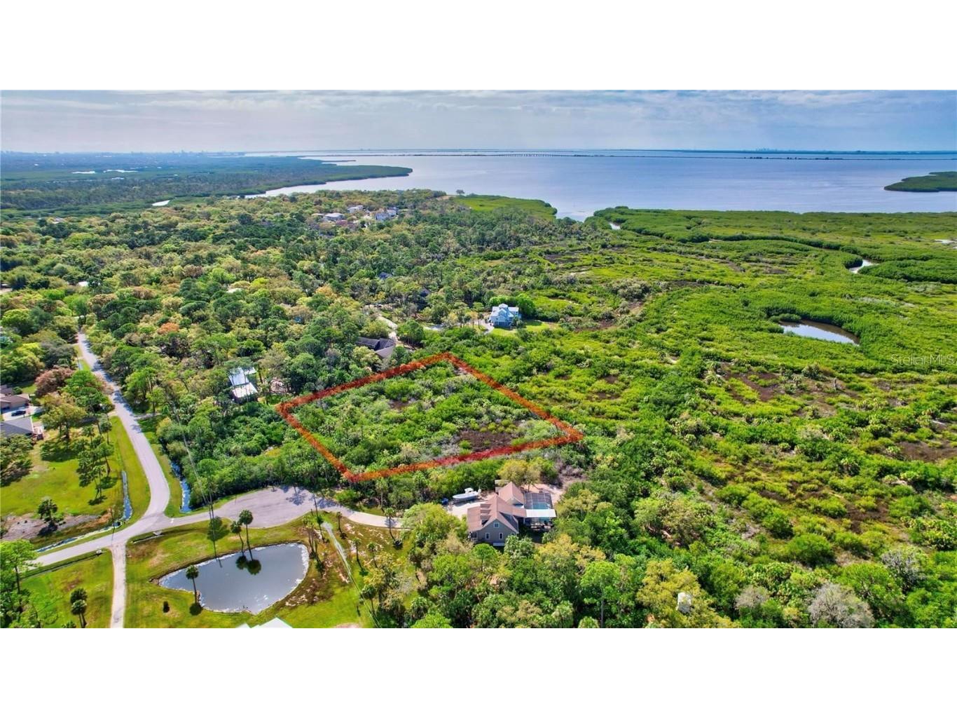 Strathmore Avenue Oldsmar FL 34677 TB8404464 image15