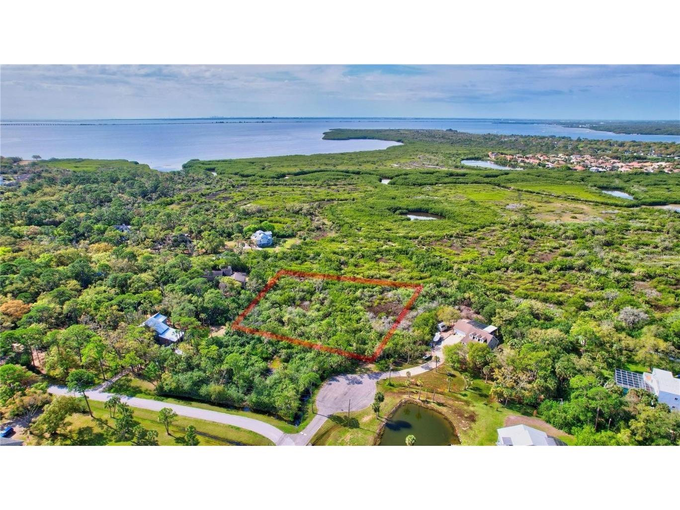 Strathmore Avenue Oldsmar FL 34677 TB8404464 image16