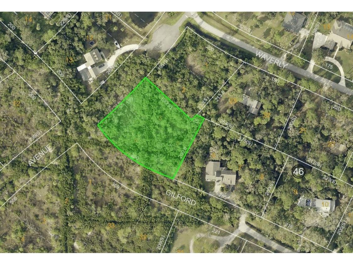 Strathmore Avenue Oldsmar FL 34677 TB8404464 image3