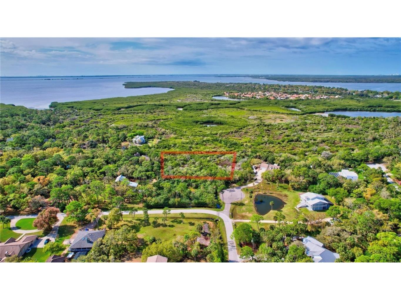 Strathmore Avenue Oldsmar FL 34677 TB8404464 image4