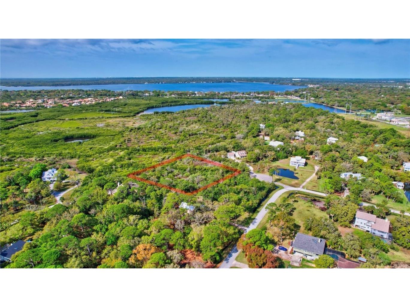 Strathmore Avenue Oldsmar FL 34677 TB8404464 image5