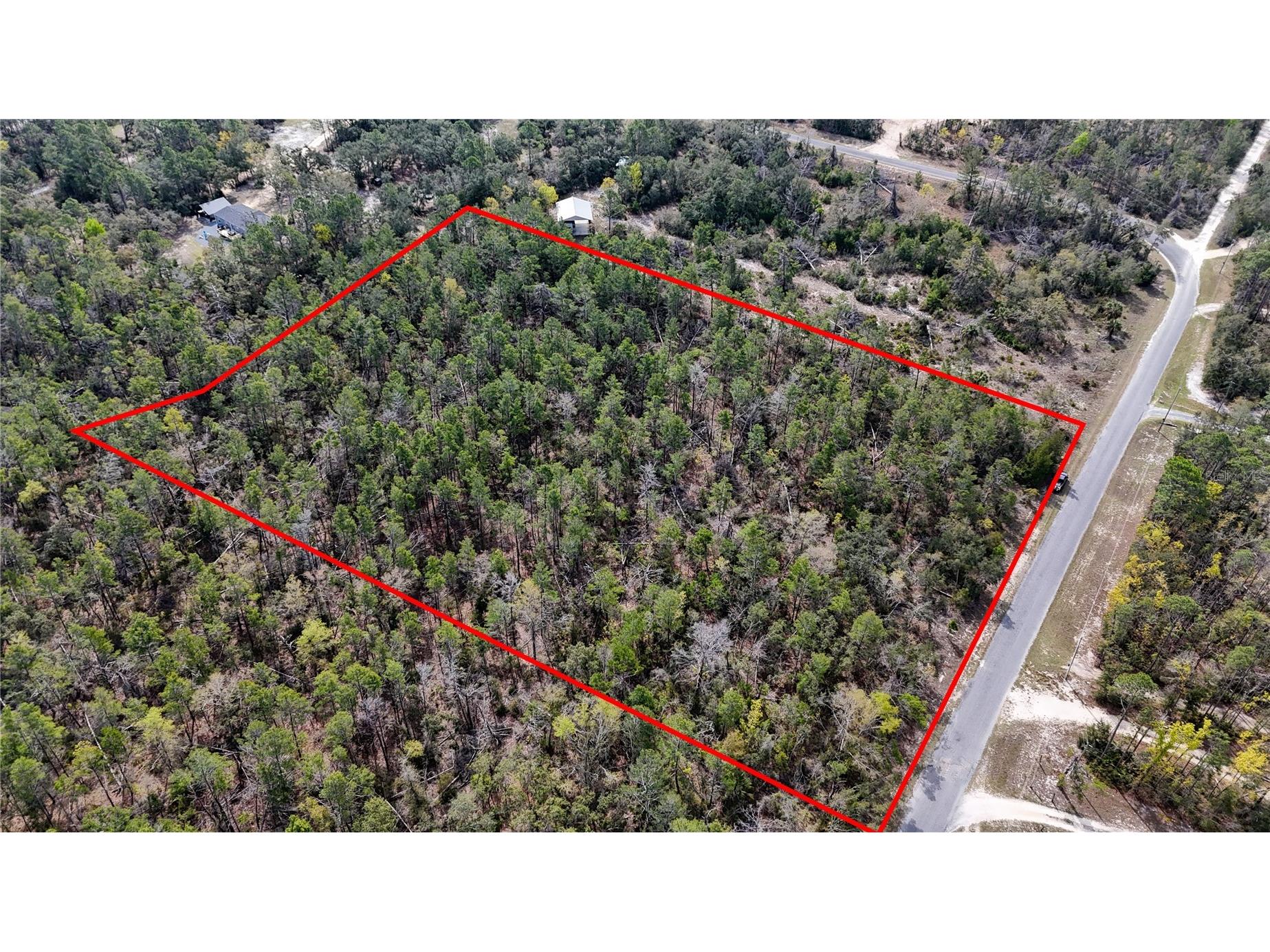 Strickland Land Drive Perry FL 32348 TB8478777 image3