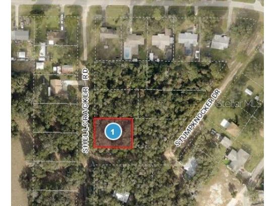 Stumpknocker Drive Fruitland Park FL 34731 G5080258 image1