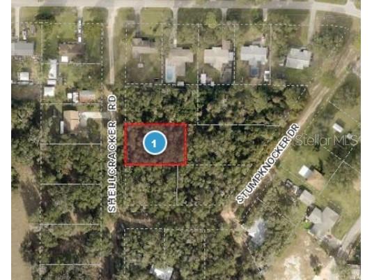 Stumpknocker Drive Fruitland Park FL 34731 G5080263 image1