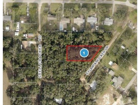 Stumpknocker Drive Fruitland Park FL 34731 G5080253 image1