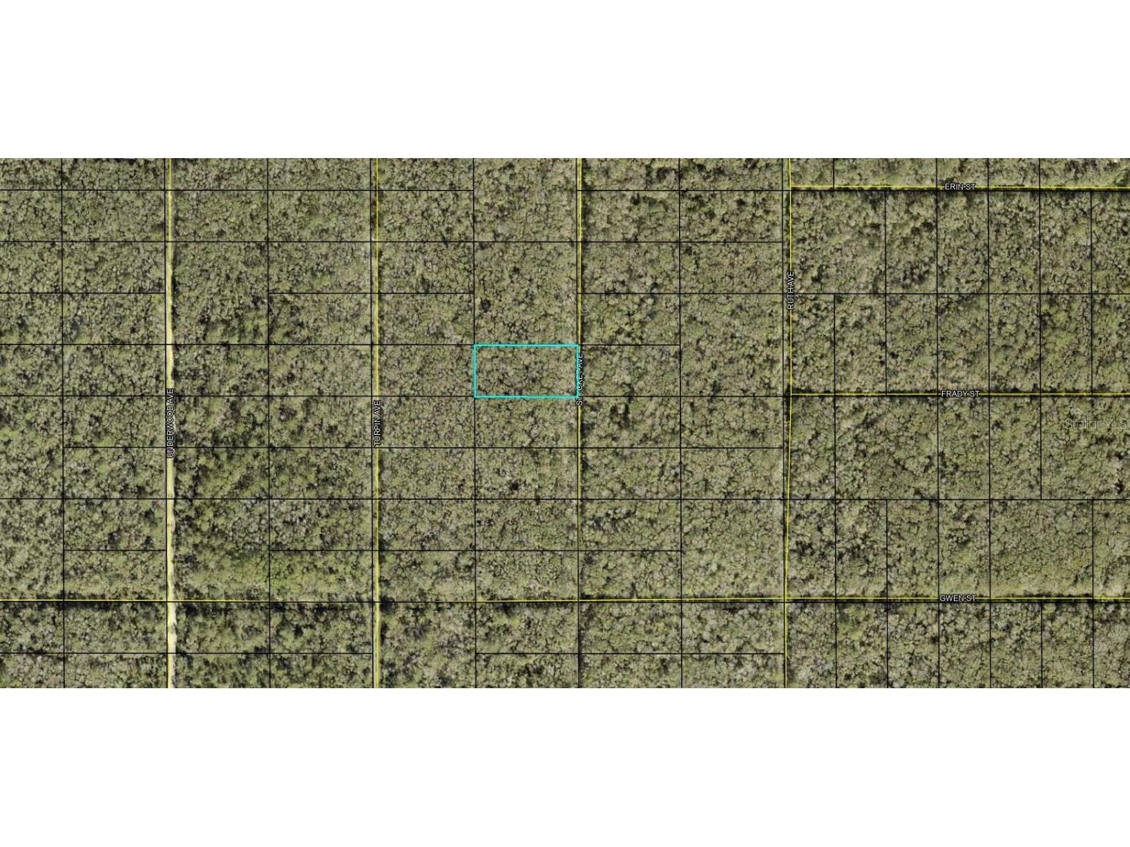 Stycket Hastings FL 32145 OK224348 image1