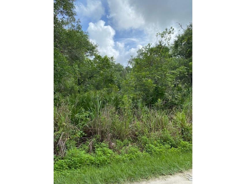 Suanee Avenue Eustis FL 32726 G5043819 image1