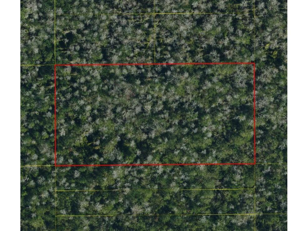 Suburban Ests Sec 11...3231 0020 Saint Cloud FL 34773 S5132390 image1