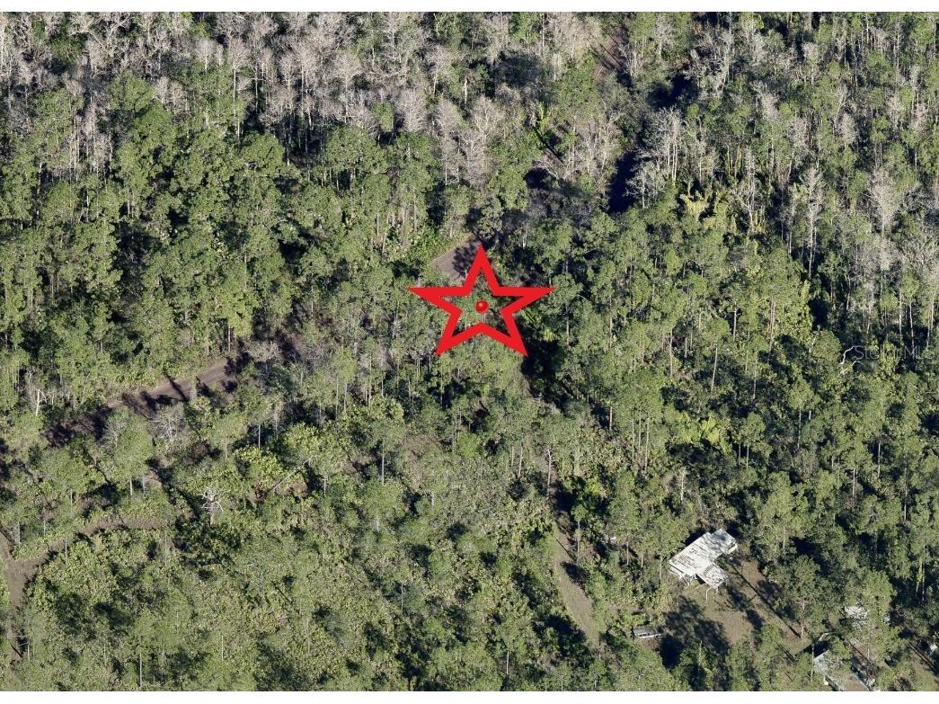 Suburban Ests Sec 19...4341 001f Saint Cloud FL 34771 S5099173 image3