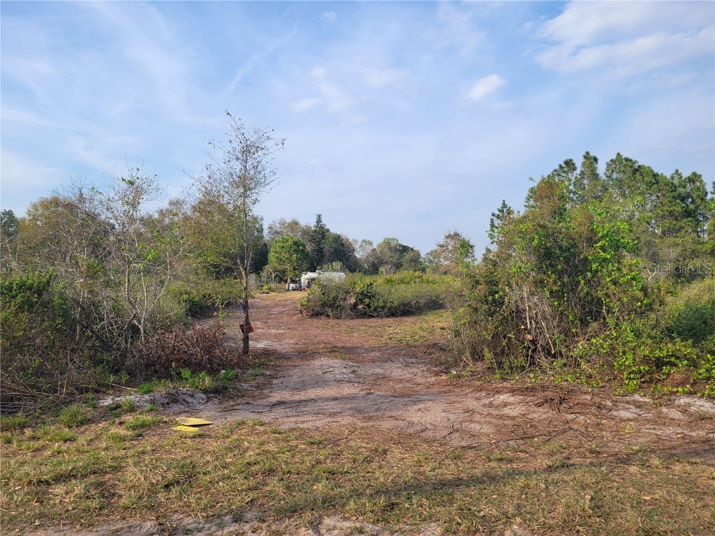 Sugarfoot Avenue Lake Wales FL 33859 P4924714 image1