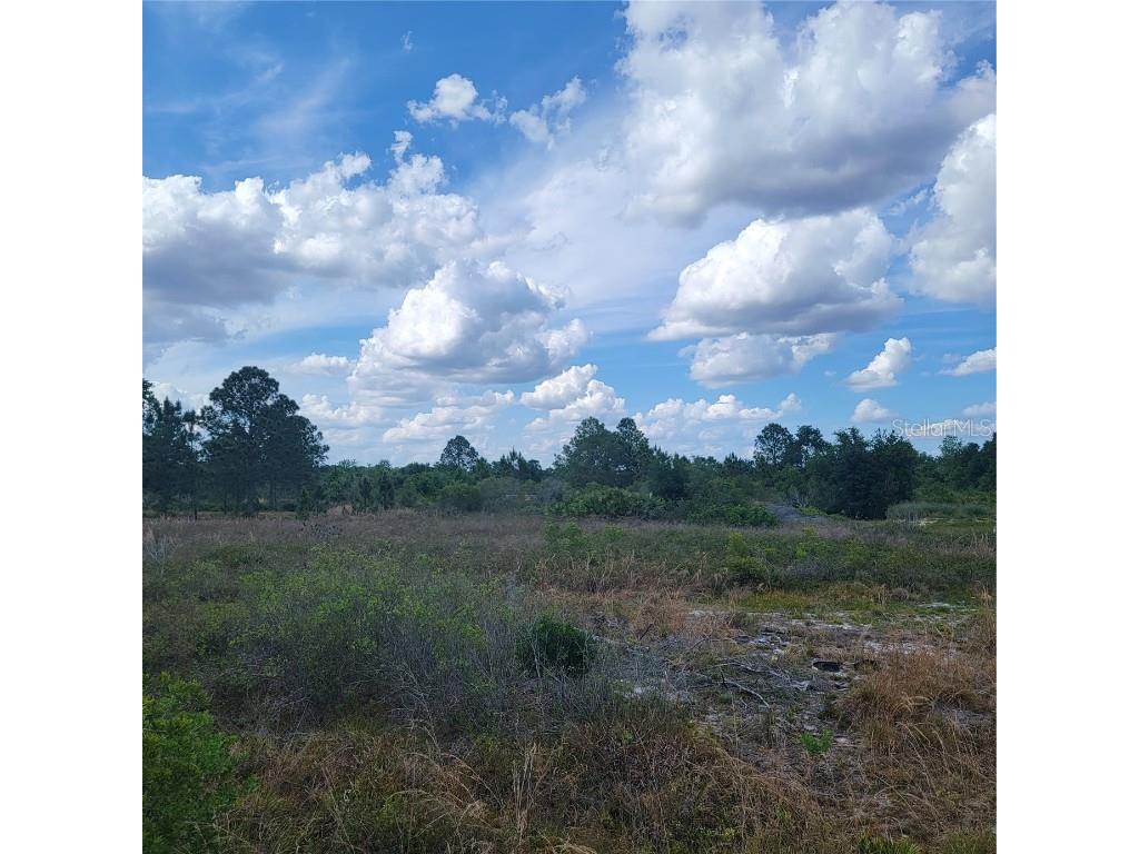 Sugarfoot Avenue Lake Wales FL 33859 P4925265 image1