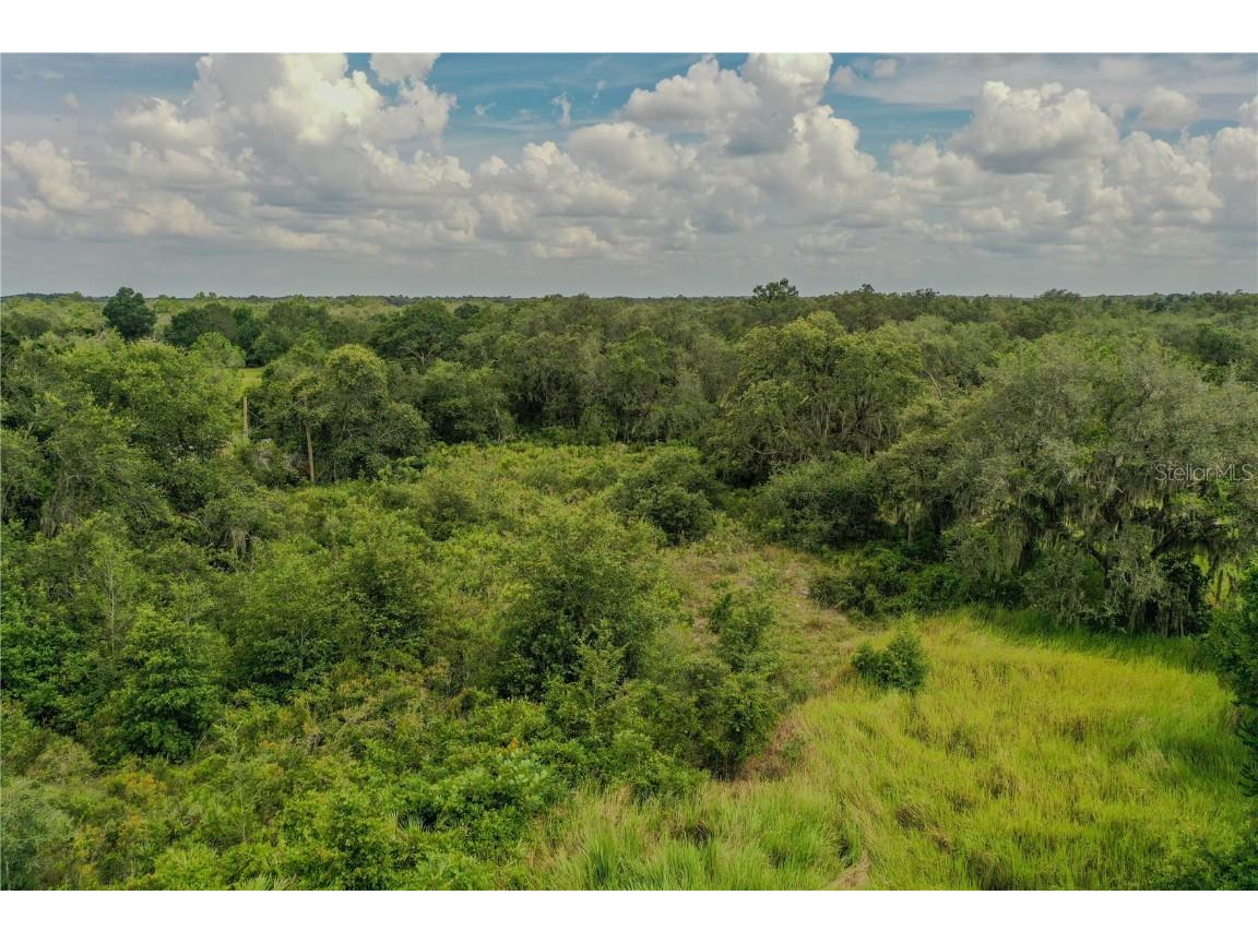 Sugarfoot Avenue Lake Wales FL 33859 P4935497 image4