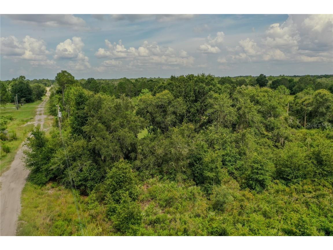 Sugarfoot Avenue Lake Wales FL 33859 P4935497 image5