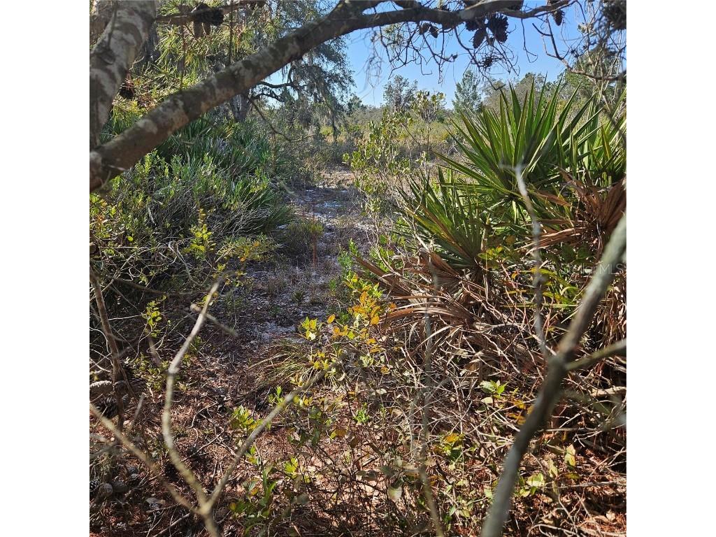 Sugarfoot Avenue Lake Wales FL 33859 TB8351518 image1