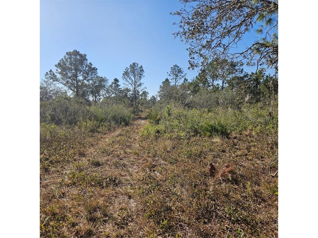 Sugarfoot Avenue Lake Wales FL 33859 TB8351737 image1