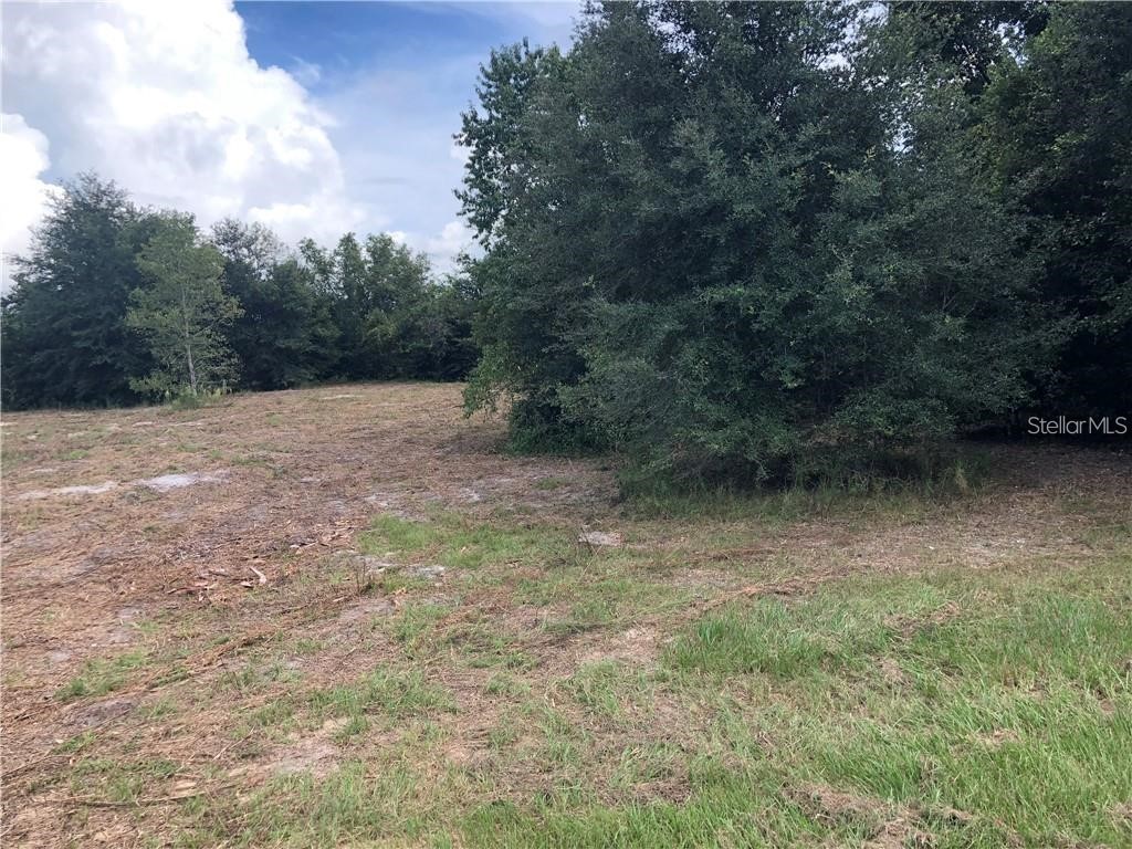 Sugarloaf Mountain Rd Clermont FL 34711 G5101741 image10