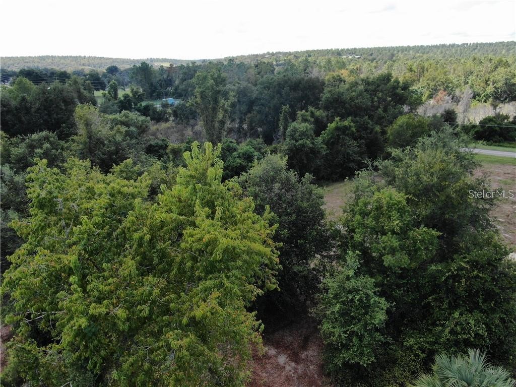 Sugarloaf Mountain Rd Clermont FL 34711 G5101741 image17