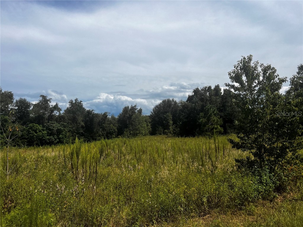 Sugarloaf Mountain Rd Clermont FL 34711 G5101741 image2