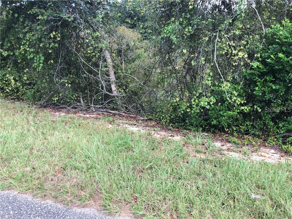 Sugarloaf Mountain Rd Clermont FL 34711 G5101741 image7