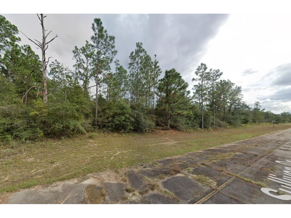 Sullivan Drive #4 Chipley FL 32428 A4661553 image3