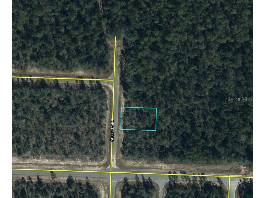 Sullivan Drive #4 Chipley FL 32428 A4661553 image5