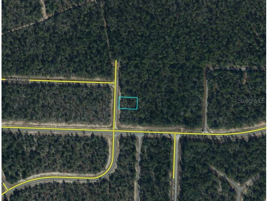 Sullivan Drive #4 Chipley FL 32428 A4661553 image6
