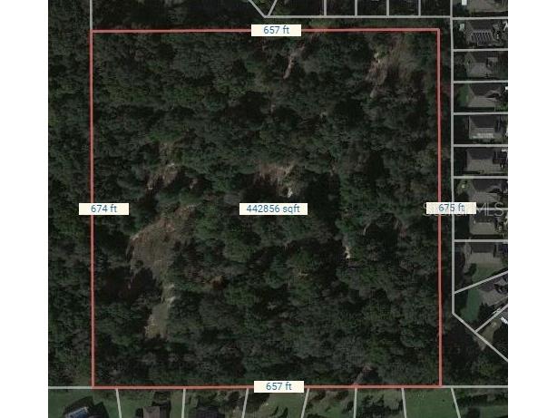 Sullivan Ranch Boulevard Mount Dora FL 32757 O6113887 image1