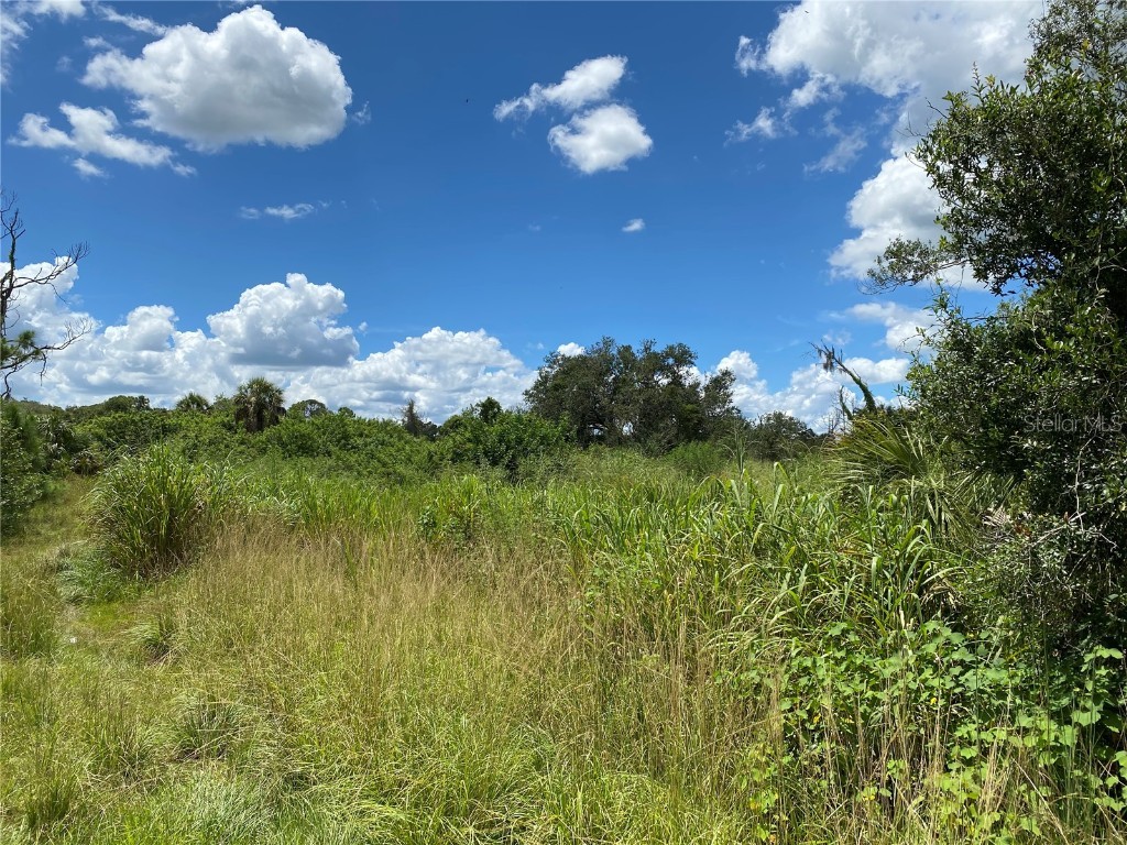 Sultan Court North Port FL 34286 C7513593 image5