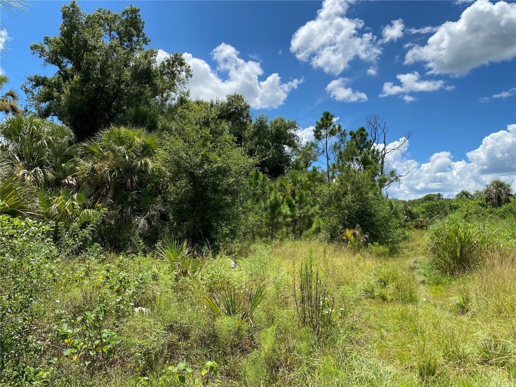 Sultan Court North Port FL 34286 C7513593 image6