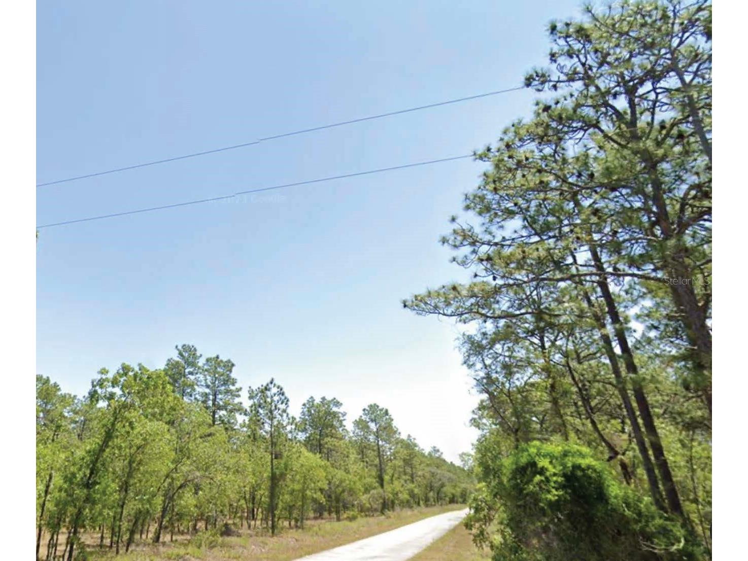 Summerfield Avenue Dunnellon FL 34431 O6372700 image1
