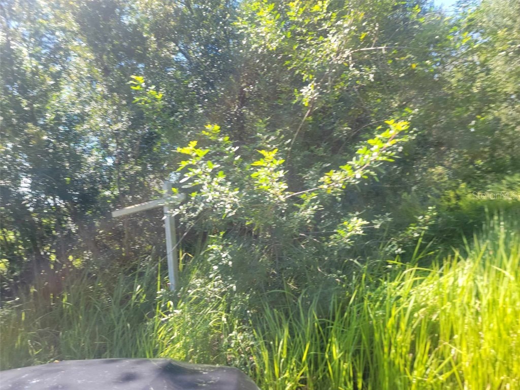 Sumner Road Wimauma FL 33598 U8173781 image1