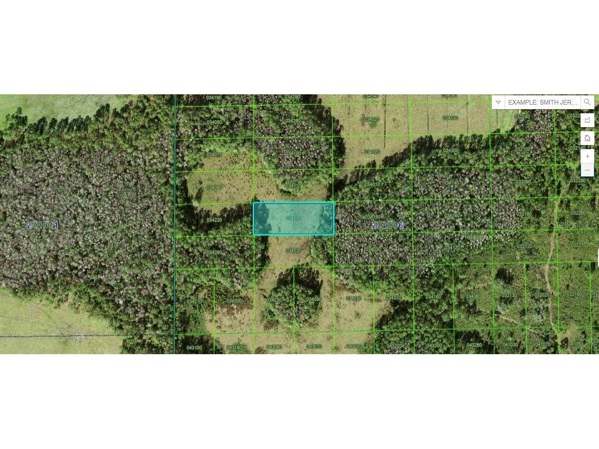 Sun Juan Ave Polk City FL 33868 O6269858 image1