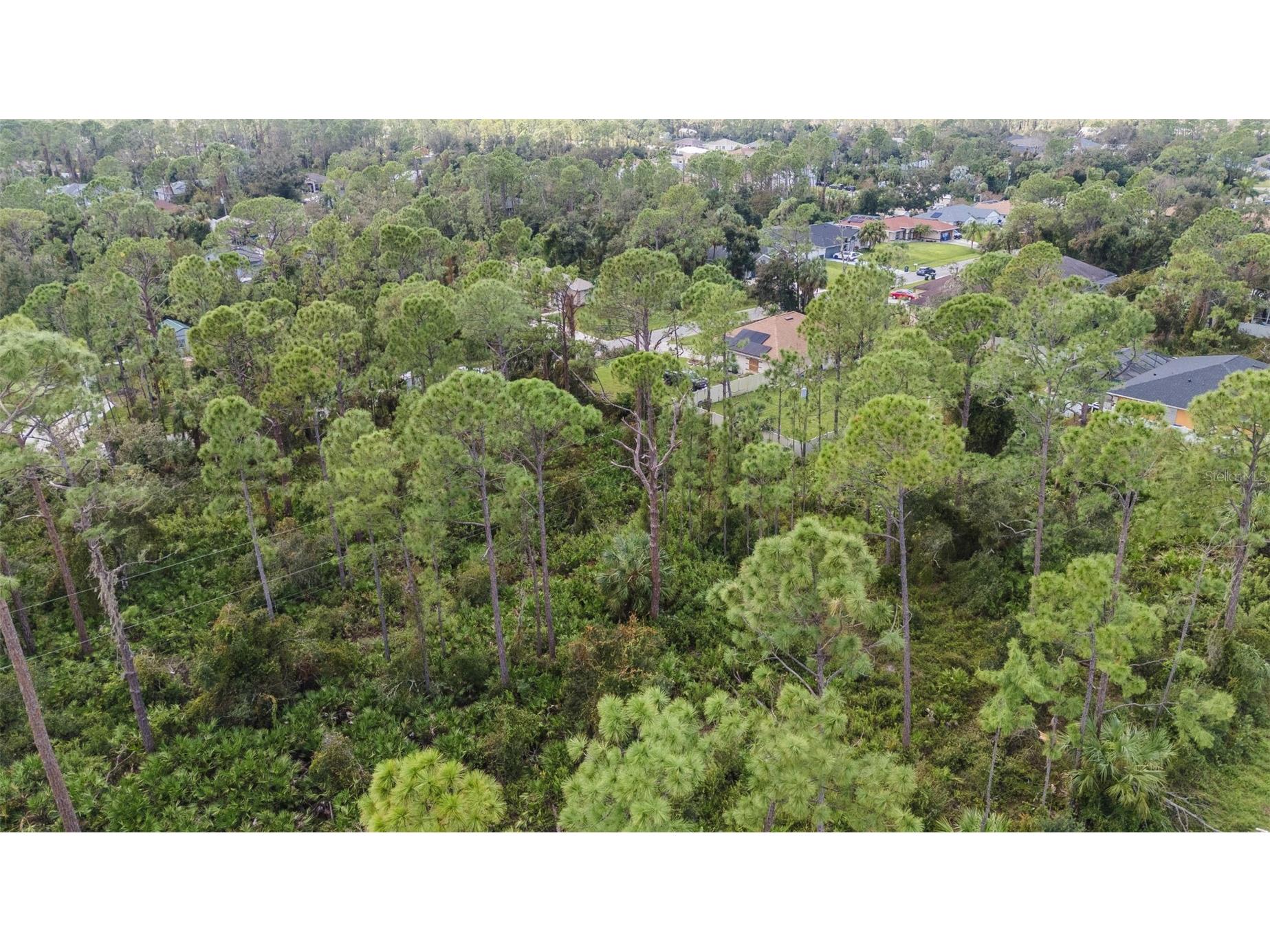 Sunburst Avenue North Port FL 34286 C7499383 image6