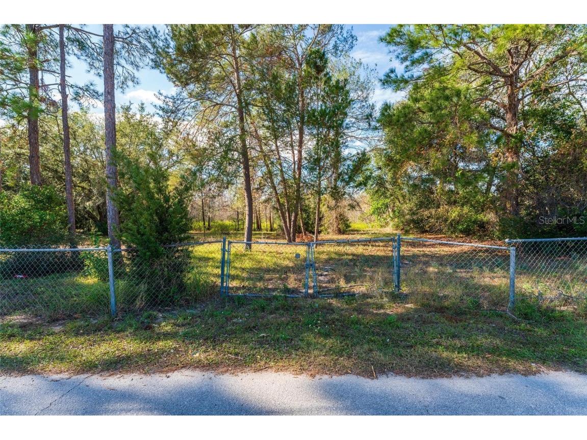 Sunland Avenue Leesburg FL 34788 G5101836 image1