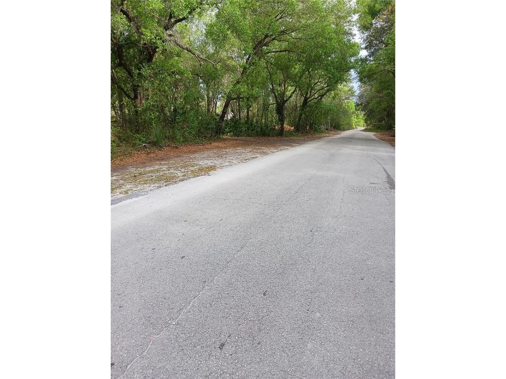 Sunrise Boulevard Mount Dora FL 32757 G5066592 image1