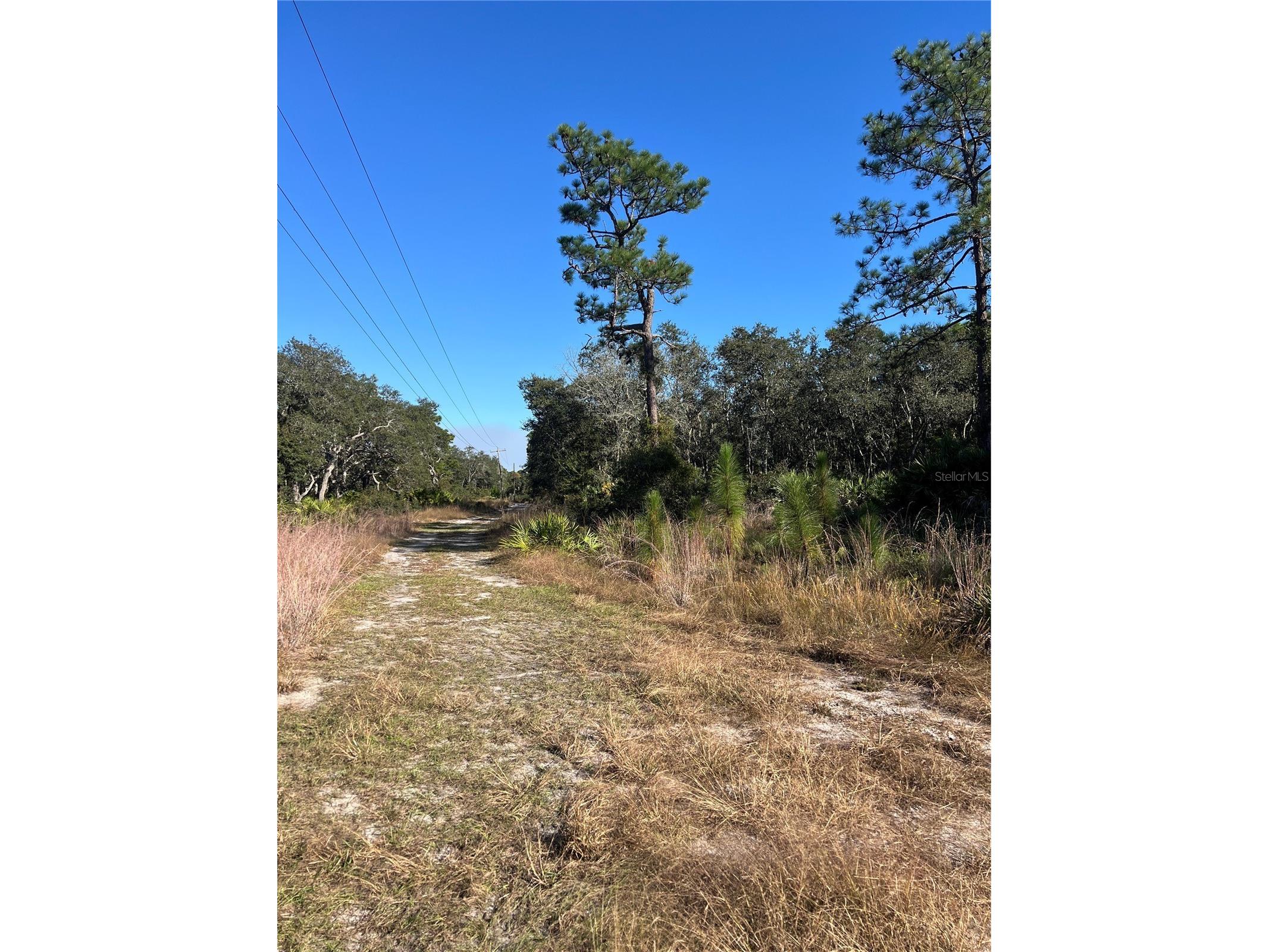 Sunrise Boulevard Mount Dora FL 32757 G5107191 image2